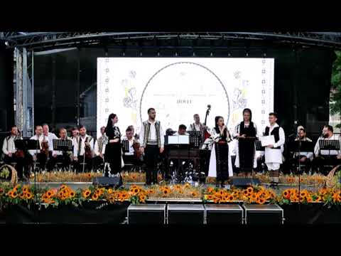 Valentin Vadrariu - Premiul al III-lea sectiunea solisti vocali („Strugurele de aur” - 07.09.2025)