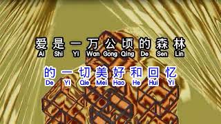 刘德华  Andy Lau   《 练习 》  lian xi