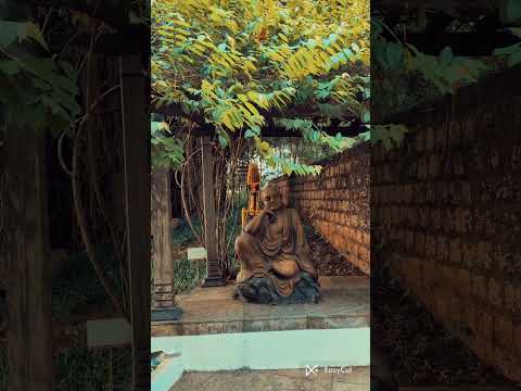 unwinding in the lap of nature #unfiltered #nature #naturelovers