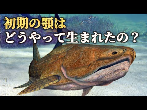動物の起源と進化