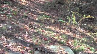 preview picture of video 'Bay Circuit Trail Andover MA Ward Reservation Part 7.'