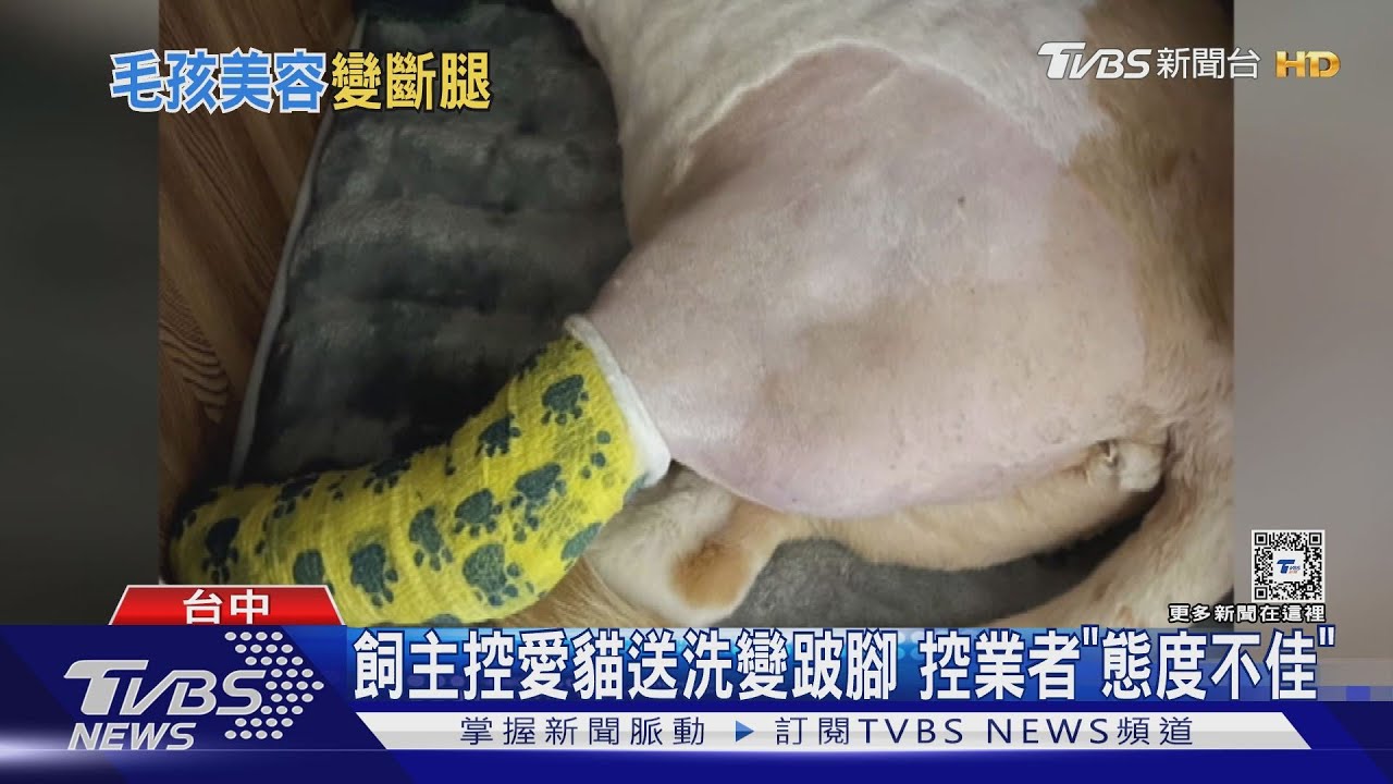 飼主控愛貓送洗變跛腳 控業者「態度不佳」