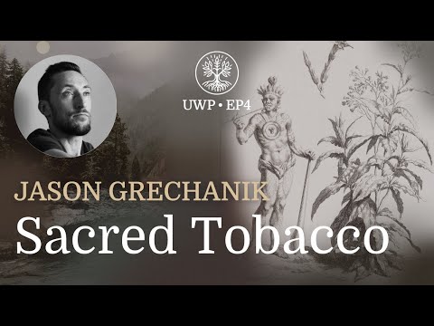 Universe Within Podcast Ep4 - Sacred Tobacco
