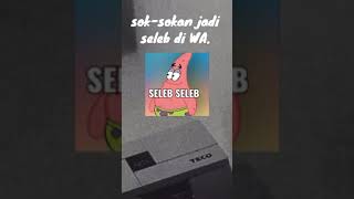 Download lagu STORY WA//BUAT KONTAK WA YANG SOK SELEB #shorts mp3 Download lagu STORY WA//BUAT KONTAK WA YANG SOK SELEB #shorts mp3