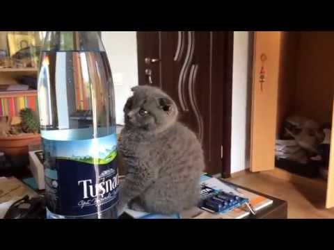 Tara&Tom : Bulele din apa minerala