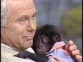 Johnny Carson & the Pygmy Chimp - The Tonight Show - August 4, 1977