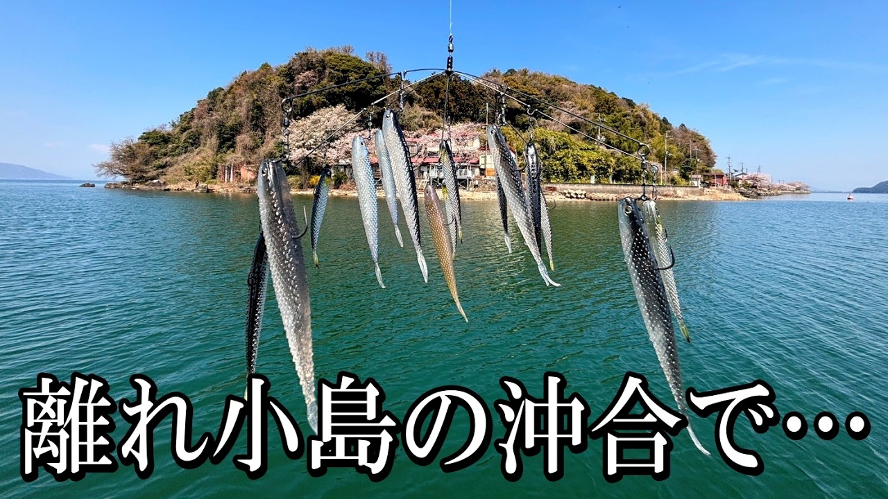 透明度抜群な島で大量のワームを集めて投げ込みました。