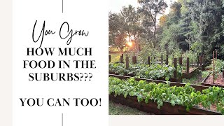 You grow how much food? Welcome to Pinebrook Homestead!