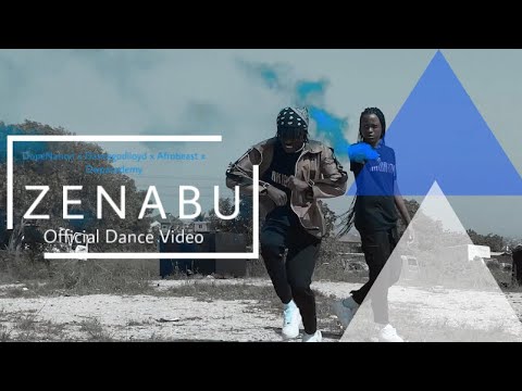 Dope nation x Dancegodlloyd x Afrobeast x DWPACADEMY - Zenabu official dance video by Realcesh.