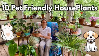 10 Pet Friendly HousePlants (2025 Update)
