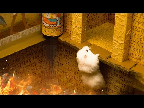 Exploring the Hamster Maze: All Challenges in the Egyptian Adventure