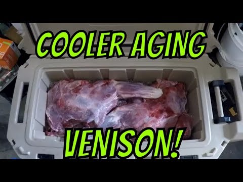 Cooler Aging Venison (on ice) 2019