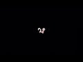 Mickey Mouse Clubhouse Hot Dog Dance Daisys
