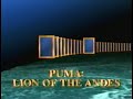 National Geographic Puma Lion Of The Andes 1996