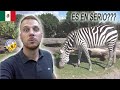 QUE SAFARI En MÉXICO NO SABÍA Que ESTO EXISTÍA En MÉXICO TOUR De AFRICAM SAFARI En PUEBLA