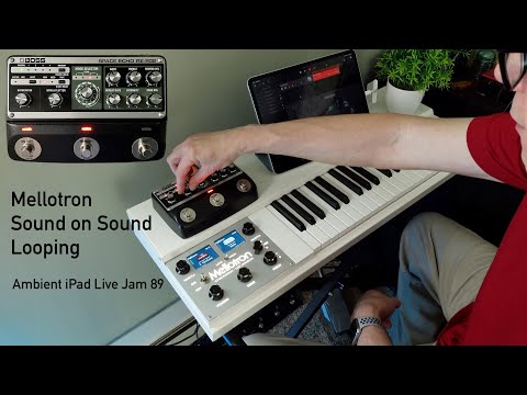 Sound on Sound Mellotron Looping with the Boss Roland RE-202 Space Echo in Long Delay Mode