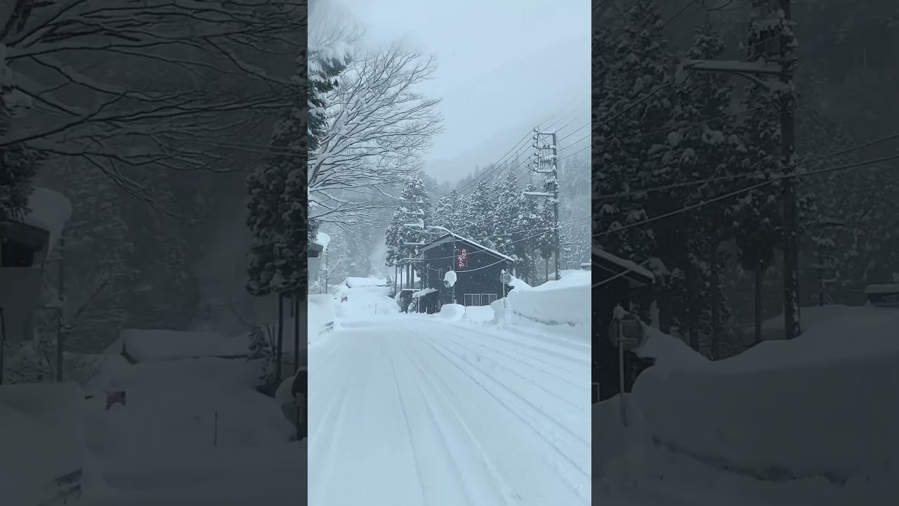 ngày 14 tháng 2, 2025