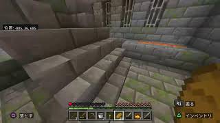 【マイクラ】罰ゲーム企画　エンドラ討伐RTA1時間半切れるまで終われません