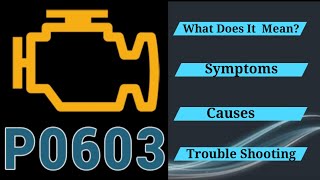 dtc p0603 interpretation