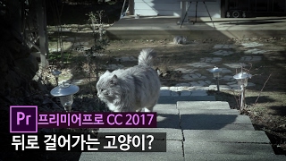 [프리미어프로 강좌]  거꾸로 재생 되는 영상 만들기 (리버스 재생 알아보기)