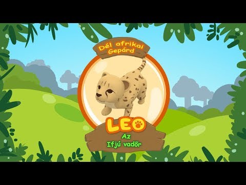 Leo az ifjú vadőr - A dél afrikai gepárd