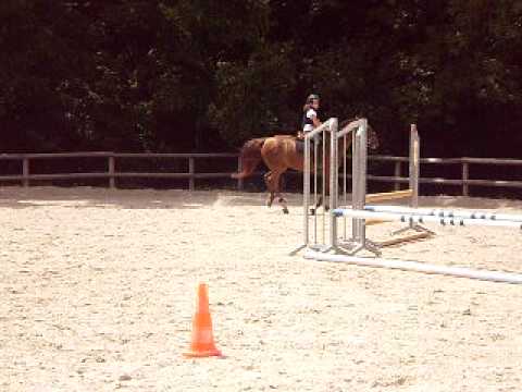 Mon Ecole d'Equitation Nintendo DS