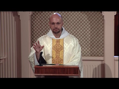 Lecturas y homilía - 2021-07-14 - El P. John Paul