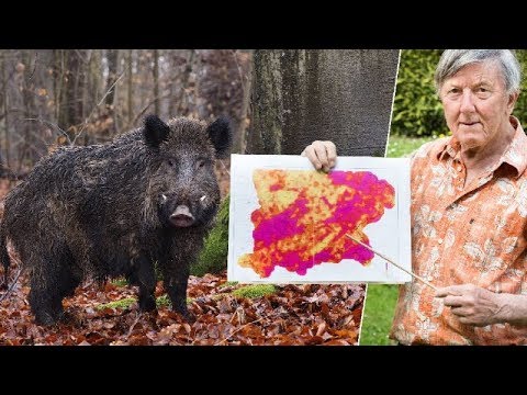 Radioaktive Strahlung in Deutschland | Rückblick Tschernobyl