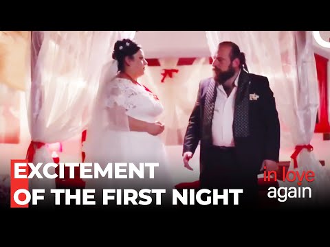 Rhino Ayfer And The Drill's Eventful Night - In Love Again