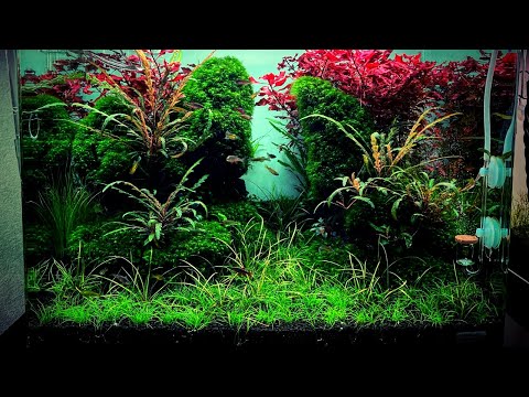 Watch Video on YouTube