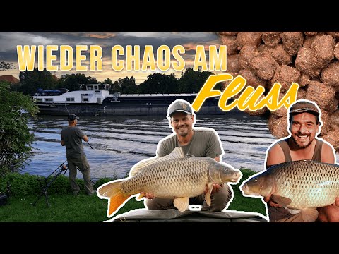 Wieder Chaos am Fluss - Mit Volker Seuss - Teil 1 | Karpfenangeln |