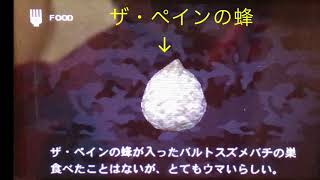 MGS SE 3D ザ・ペインの蜂が入ったバルトスズメバチ