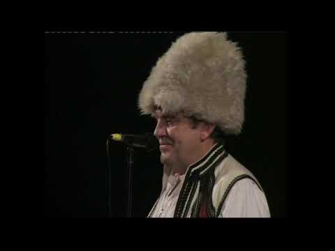 SLAVKO PODGORCANOVIC - FOAIE VERDE KA MORARU (VlaskiMelos)