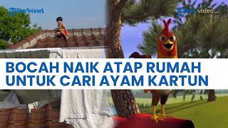 Gara-Gara Nonton Kartun, Bocah Ini Naik Atap Rumah Sendiri untuk Cari Ayam