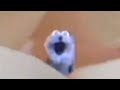 Screaming Blue Thing But With Different Meme Sounds
