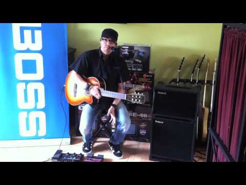 Overview of the BOSS Loop Station World Championship 2