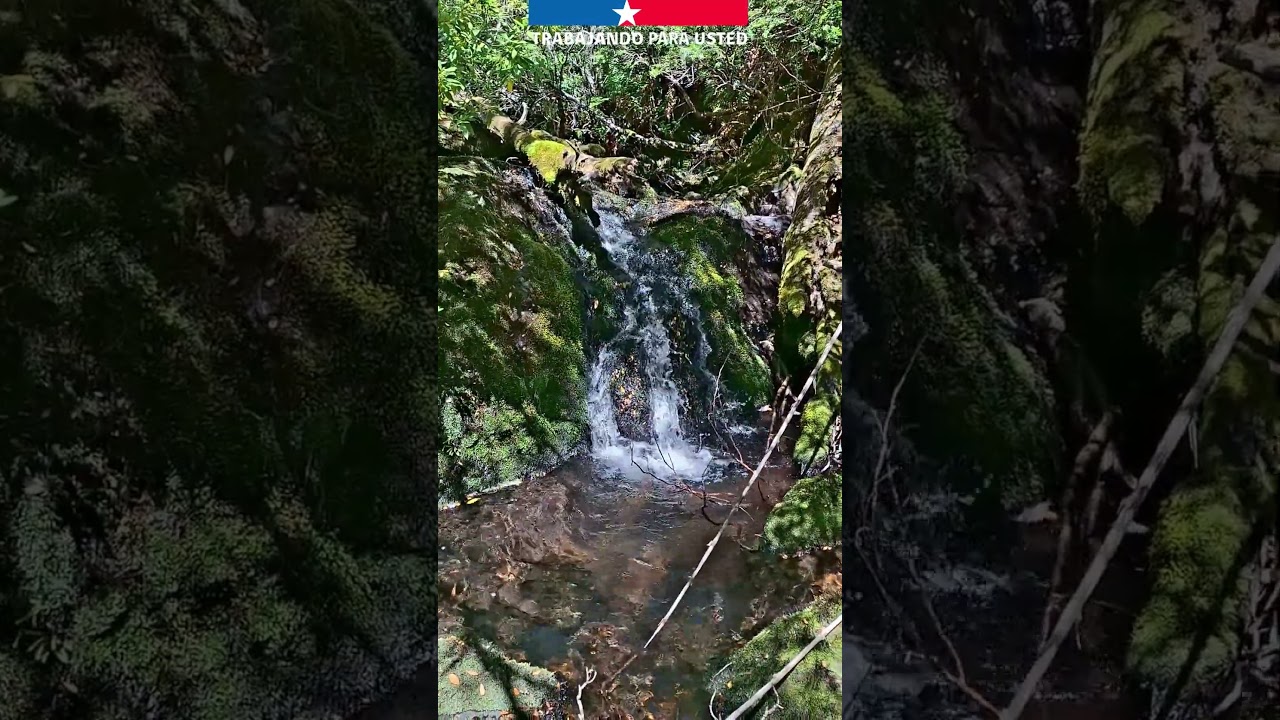 59 años del PN Huerquehue