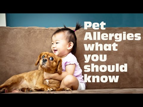 Pet allergies / What are pet allergies?
