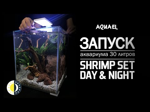 Оформление аквариума 30 литров AQUAEL SHRIMP SET DAY&NIGHT