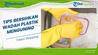 Jangan dibuang! Ini Tips Membersihkan Wadah Plastik Menguning dengan Benar