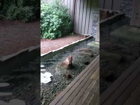 A beautiful spa day for my daughter's birthday 🎂