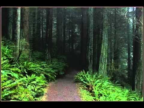 comment traiter trouble anxieux généralisé