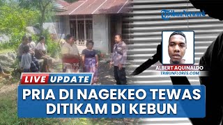 Pria di Boawae Nagekeo Tewas Ditikam Tetangga saat ke Kebun, Dipicu Cekcok Perkara Tanah