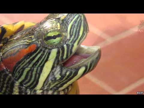 Best places to visit