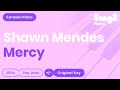 Shawn Mendes - Mercy (Karaoke Piano)