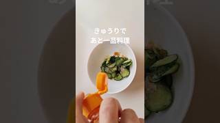 きゅうりのラー油和え#かんたんレシピ #簡単料理 #きゅうりレシピ #あと一品 #和え物 #本編切り抜き #ショート動画 #簡単レシピ