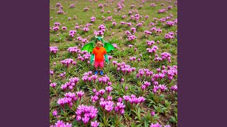 Download lagu RAJA KECOA ITU KENAPA SANGAT GELISAH mp3