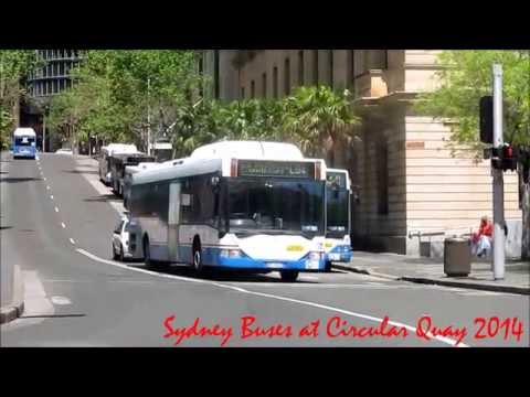 Sydney Buses at Circular Quay - 2014