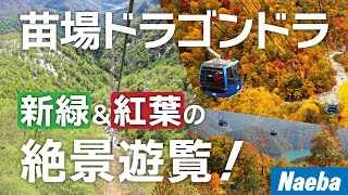 動画1