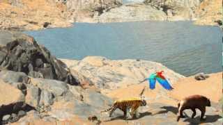 E4RTH - IT'S WHERE WE LIVE #IWWL video